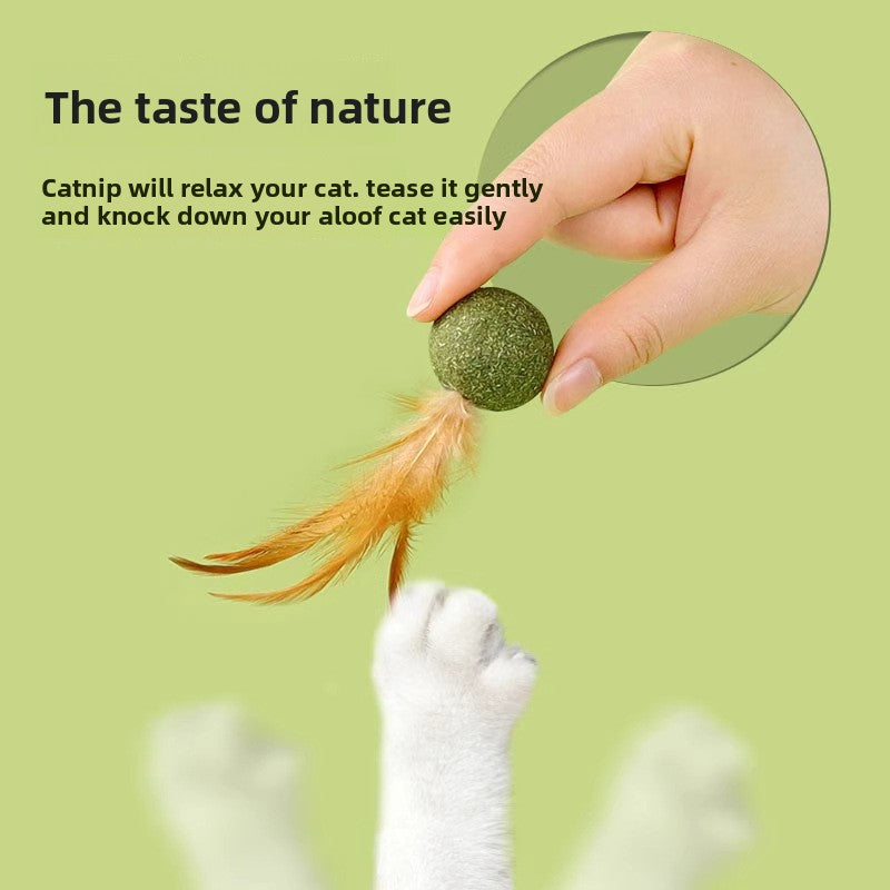 Catnip Feather Toy for Cats, KONG Mouse Toy, KONG Feather Mouse with Catnip, Interactive Cat Teaser Toy, Feather Cat Toy for Kittens and Adult Cats