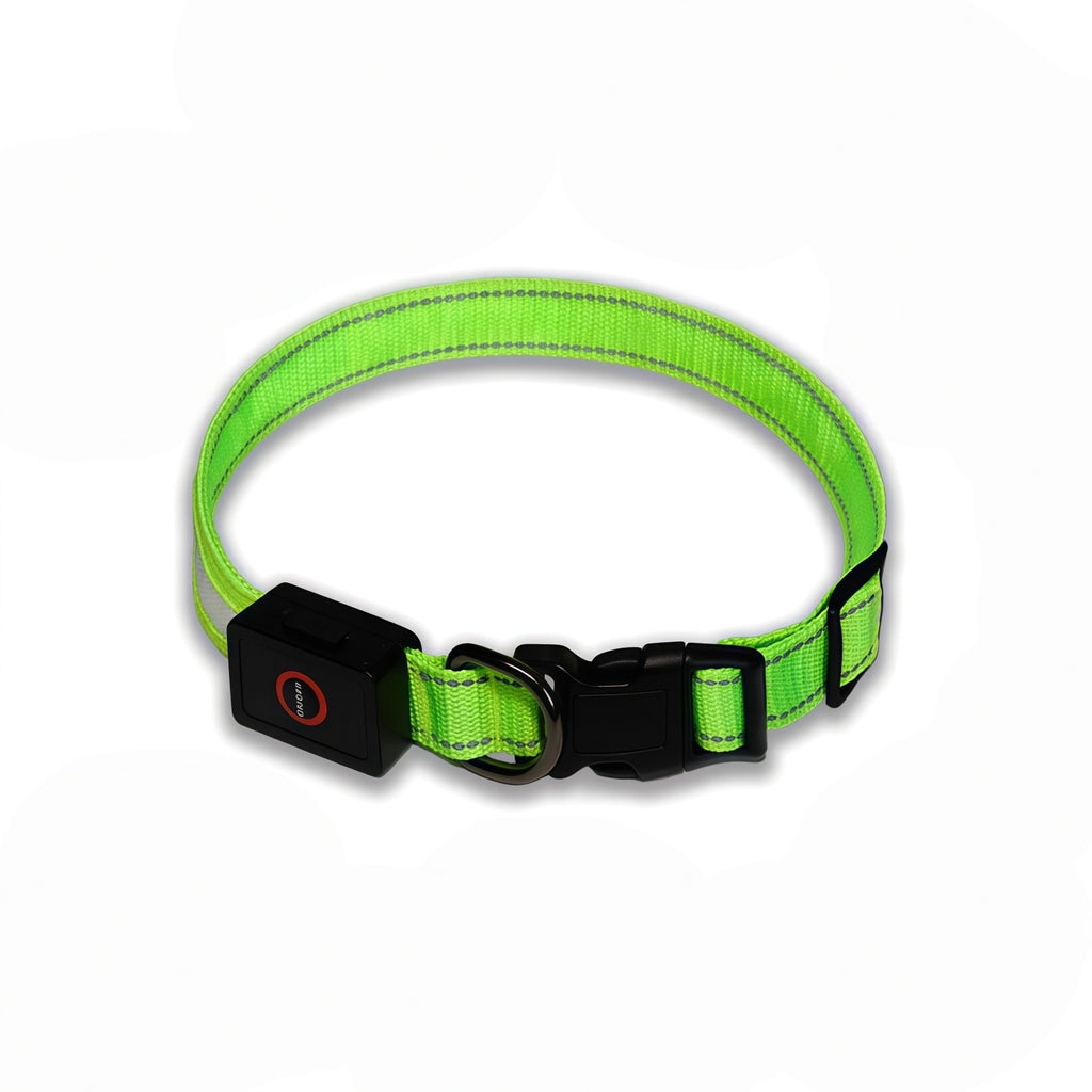 Adjustable USB Rechargeable LED Dog Collar