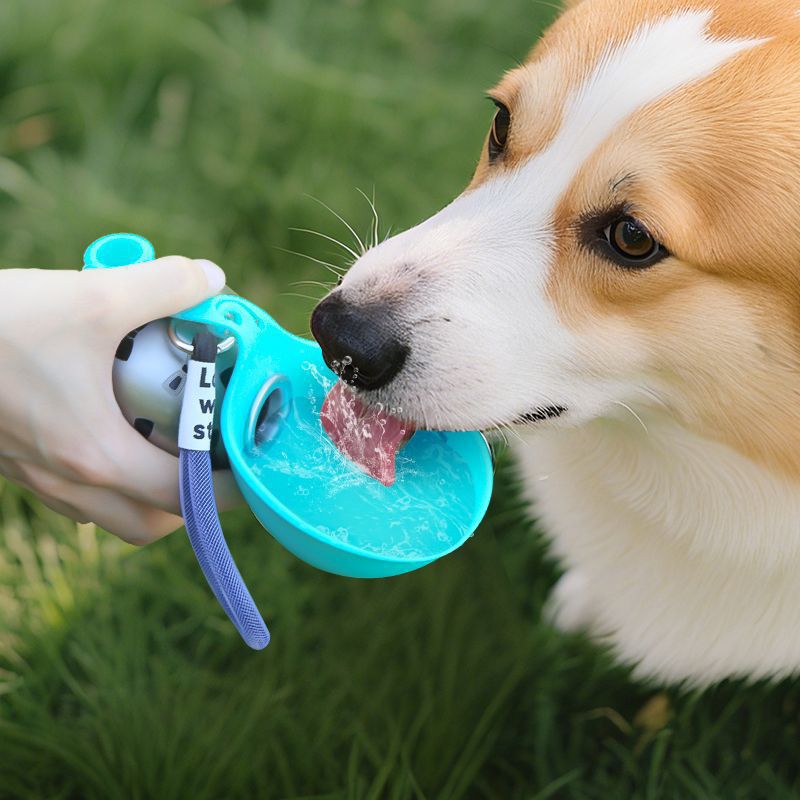 Portable Dog Water Bottle Stainless Steel – Portable Water Bottle for Dogs, Canine Water Bottle & Drink Bottle for Dogs