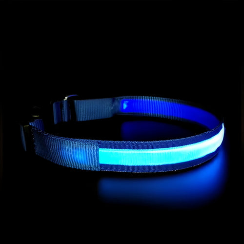 Adjustable USB Rechargeable LED Dog Collar