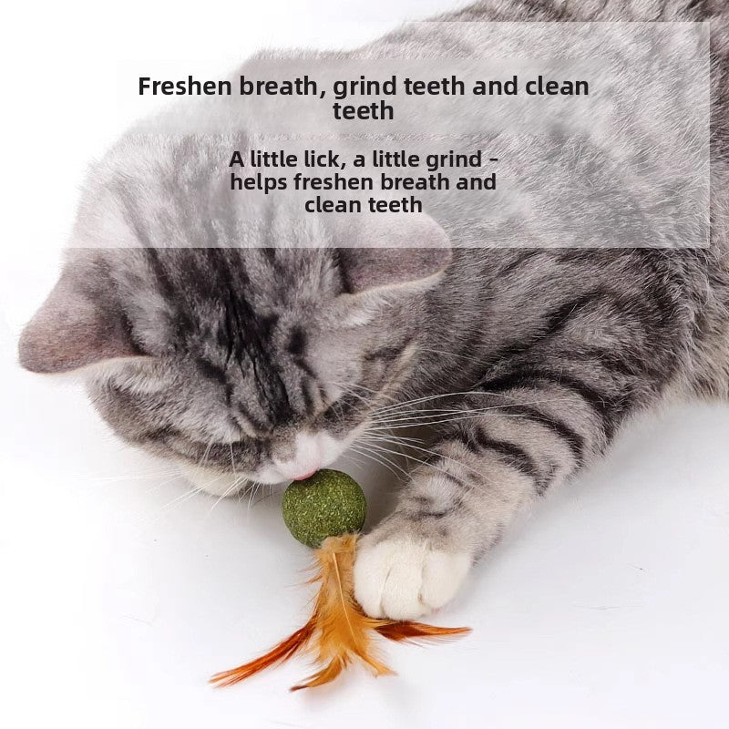 Catnip Feather Toy for Cats, KONG Mouse Toy, KONG Feather Mouse with Catnip, Interactive Cat Teaser Toy, Feather Cat Toy for Kittens and Adult Cats